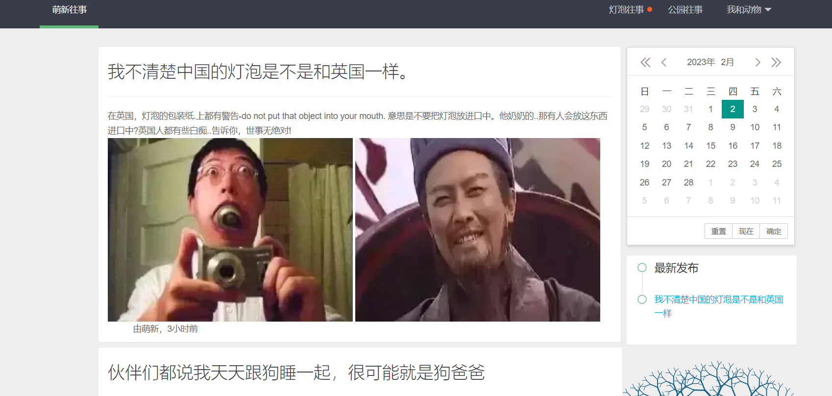 image-20230202230734384