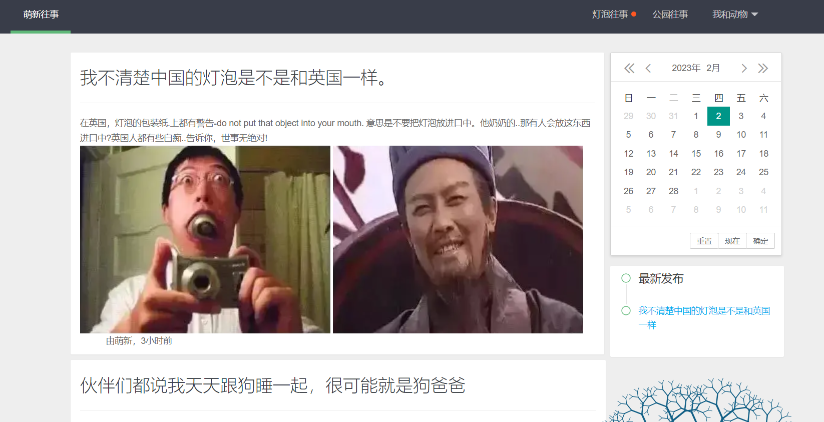 image-20230202235025560