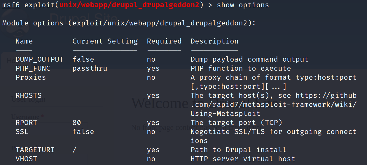 image-20230409183330747