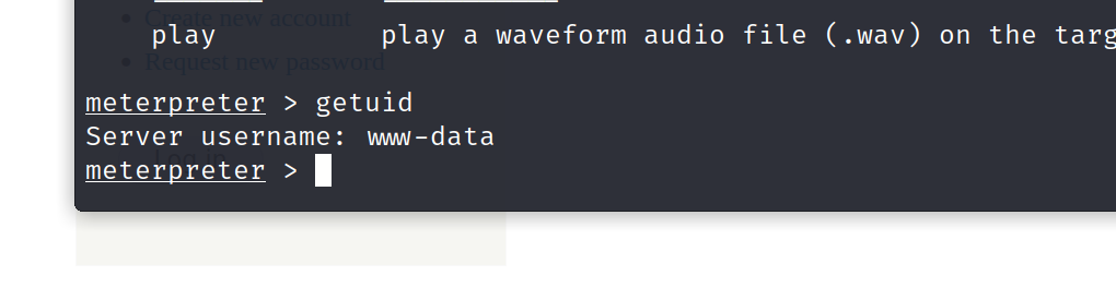 image-20230409190252841