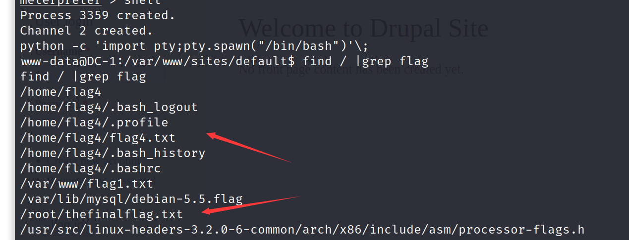 image-20230409190655243