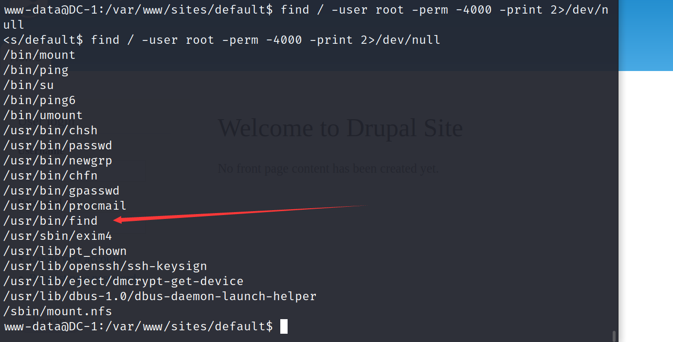 image-20230409190830425