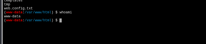 image-20230411090020317