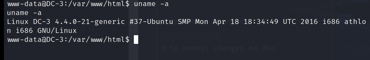 image-20230411091229892