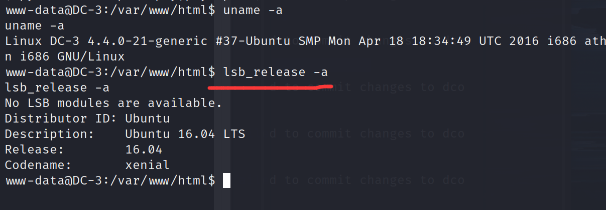 image-20230411091330803