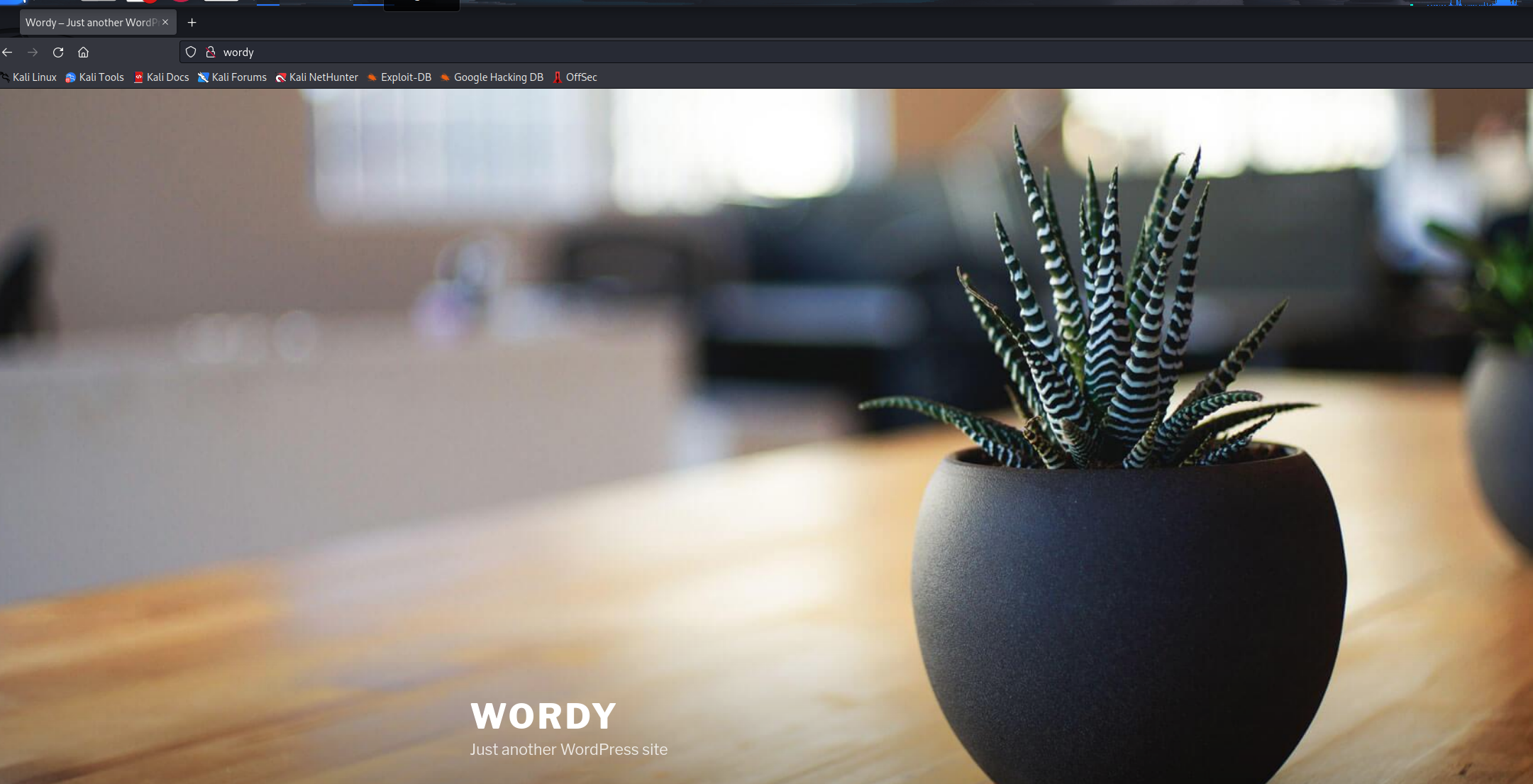 image-20230413101135856