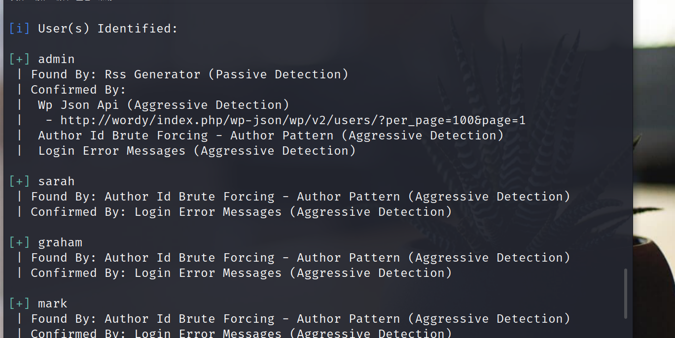 image-20230413101443241