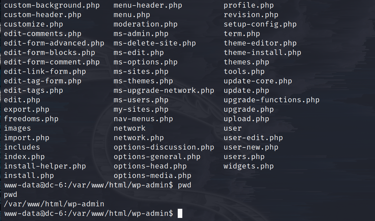 image-20230413104510719