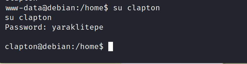 image-20230430224951322