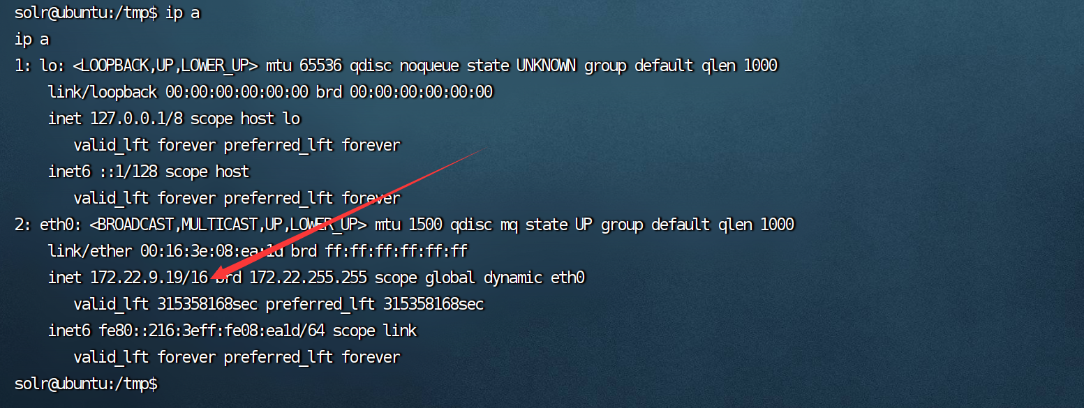 image-20230929170013233