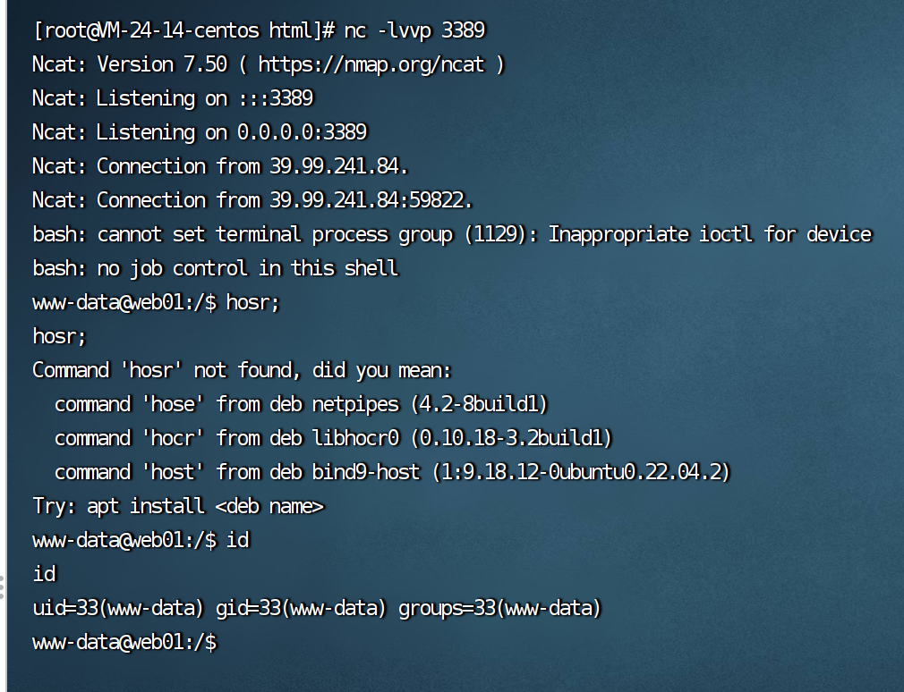 image-20231024154752600