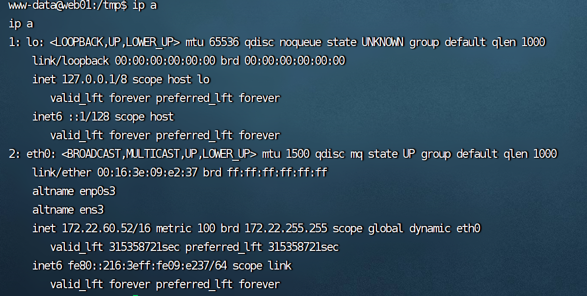 image-20231024160255260